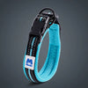 Cross-border Dog Collar