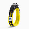 Cross-border Dog Collar