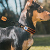 Cross-border Dog Collar