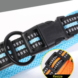 Cross-border Dog Collar