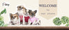 Adjustable Leather Small Dog Collar