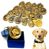 Personalized Dog ID Tag Customized Nameplate