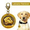Personalized Dog ID Tag Customized Nameplate