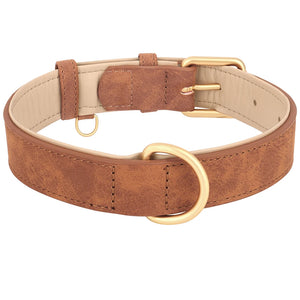 Leather Soft Padded Dog Collar