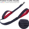 Dog Leashes Outdoor Travel