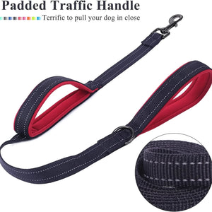 Dog Leashes Outdoor Travel