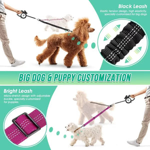 16ft Long Dual Dog Leash Attachment
