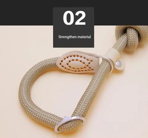 Dog Walking Leash Slip Rope Lead Leash