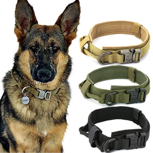 Adjustable Tactical Dog Collar