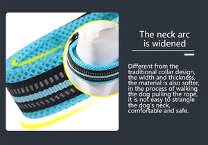Cross-border Dog Collar