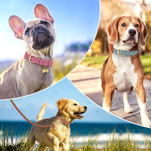 Leather Soft Padded Dog Collar