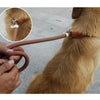 Dog Walking Leash Slip Rope Lead Leash