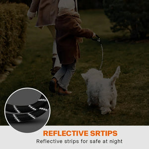 Reflective Dog Leash With Comfortable Padded Handle