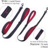 Dog Leashes Outdoor Travel