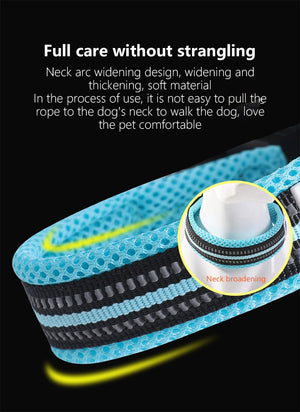 Cross-border Dog Collar
