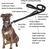 Dog Leashes Outdoor Travel