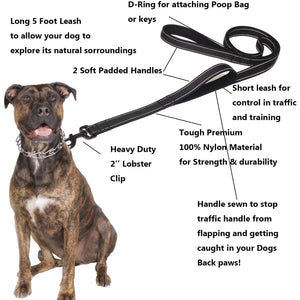 Dog Leashes Outdoor Travel