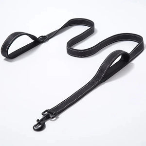Dog Leashes Outdoor Travel