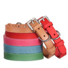 Adjustable Leather Small Dog Collar