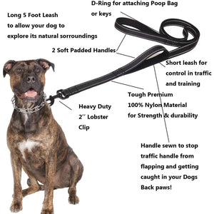 Dog Leashes Outdoor Travel