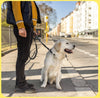 Heavy Duty Dog Leash with Elastic Bungee