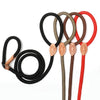 Dog Walking Leash Slip Rope Lead Leash