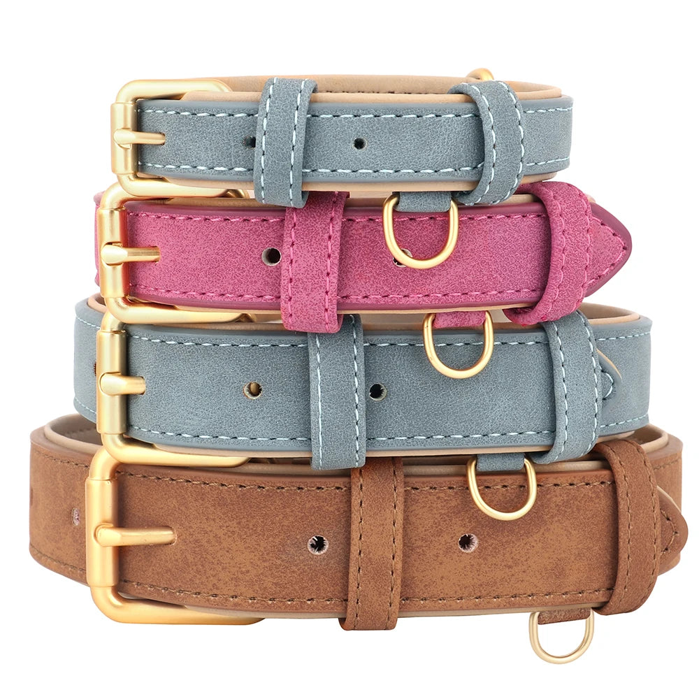 Leather Soft Padded Dog Collar