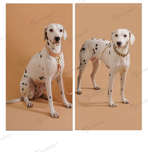 Colorful Neck ring Collar For Female Dogs