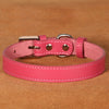 Adjustable Leather Small Dog Collar