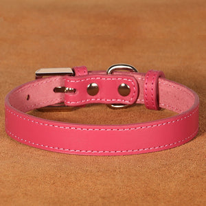 Adjustable Leather Small Dog Collar