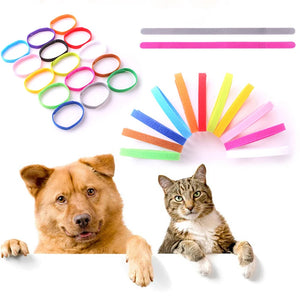 15 Pcs Newborn Dog AdjustableI dentification ID Collar