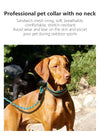 Cross-border Dog Collar