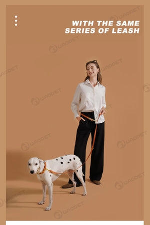 Colorful Neck ring Collar For Female Dogs