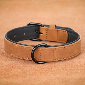Large Soft Padded Dog Collars