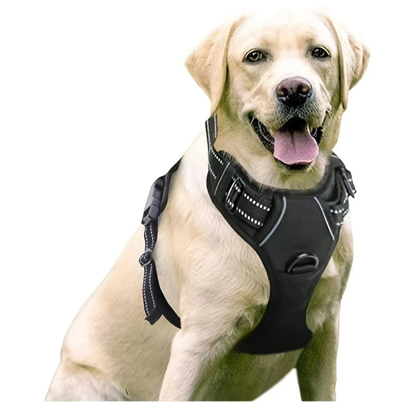 No-Pull Dog Harness with 2 Leash Clips