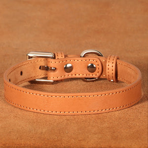 Adjustable Leather Small Dog Collar