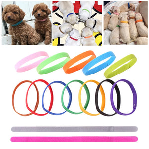 15 Pcs Newborn Dog AdjustableI dentification ID Collar