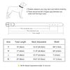Leather Soft Padded Dog Collar