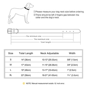 Leather Soft Padded Dog Collar