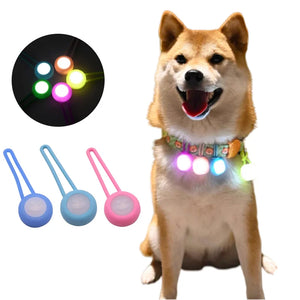 Anti-lost Dog LED Walking Night Silicone