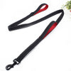 Dog Leashes Outdoor Travel