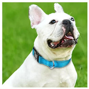Adjustable Breathable Nylon Soft Padded Dog Collar