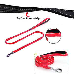 Dog Leashes Outdoor Travel