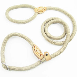 Dog Walking Leash Slip Rope Lead Leash