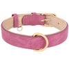 Leather Soft Padded Dog Collar