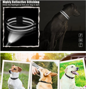 Adjustable Breathable Nylon Soft Padded Dog Collar