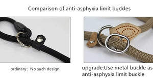 Dog Walking Leash Slip Rope Lead Leash