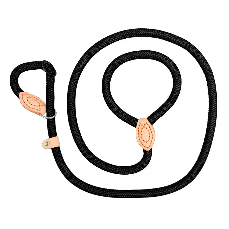 Dog Walking Leash Slip Rope Lead Leash