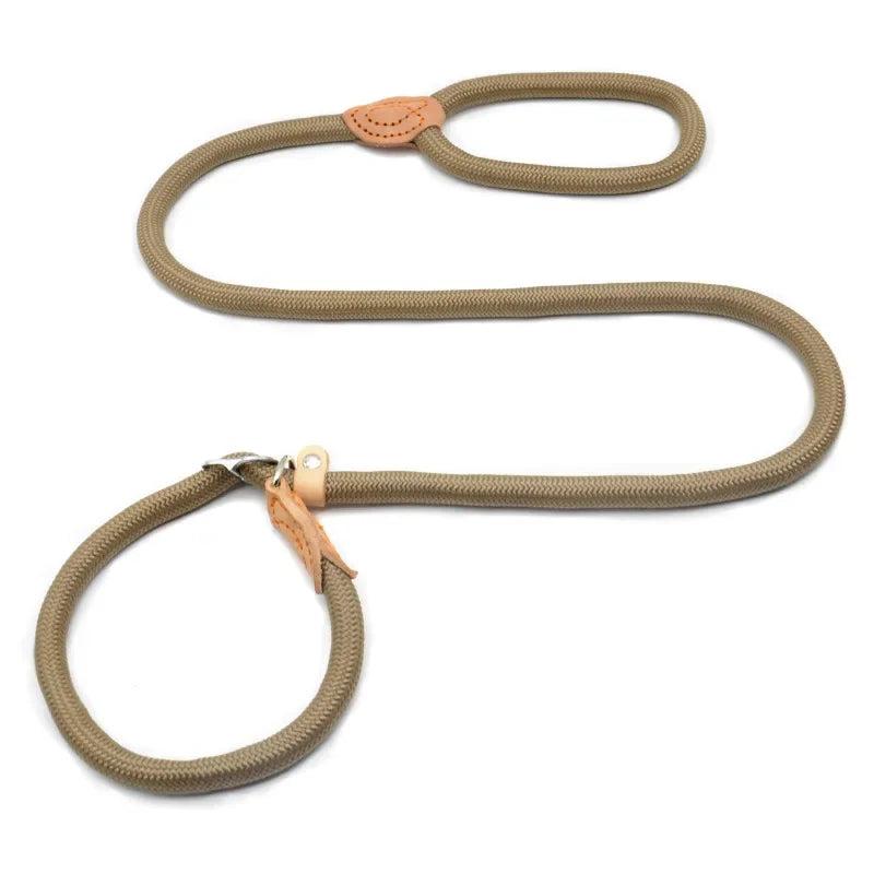 Dog Walking Leash Slip Rope Lead Leash