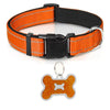 Adjustable Breathable Nylon Soft Padded Dog Collar